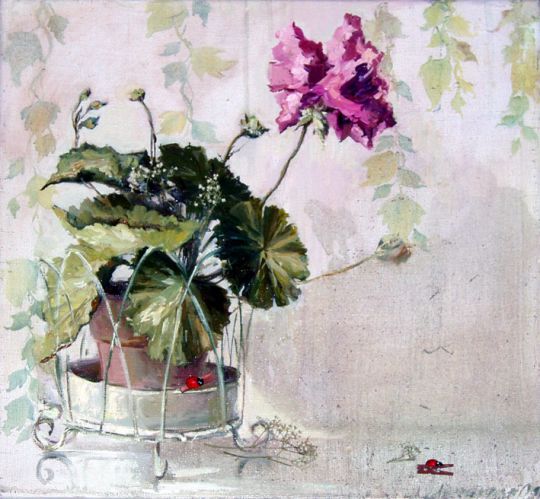 Russia : Geranium