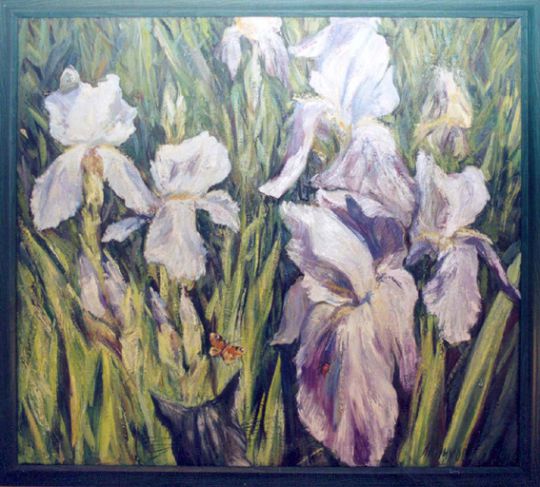 Russia : Irises