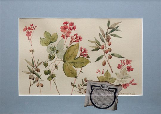 Russia : Unknown rarity