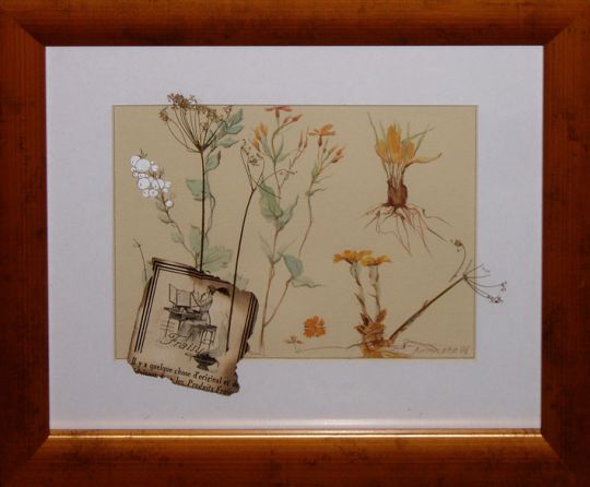 Russia : Dry flowers (3)