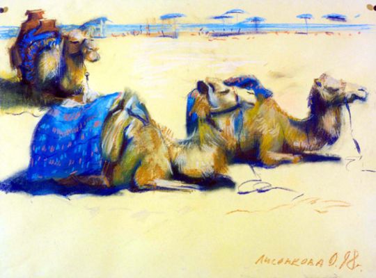Travels : Camels