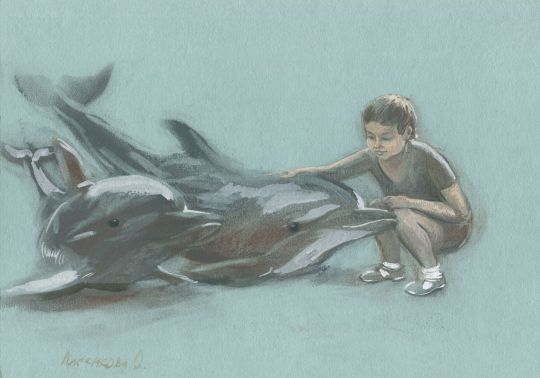 Illustrations : 
