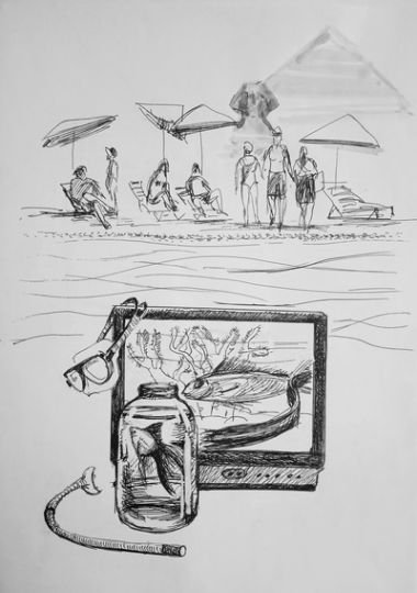 Illustrations : 